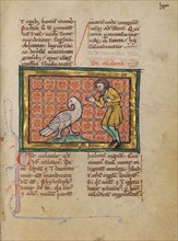 A Caladrius Bird; Bestiary, about 1270. Creator: Unknown.