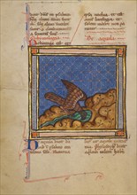 An Eagle; Bestiary, about 1270. Creator: Unknown.