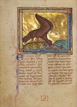 An Ibis Eating a Dead Lamb; Bestiary, about 1270. Creator: Unknown.