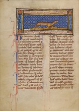 A Weasel; Bestiary, about 1270. Creator: Unknown.