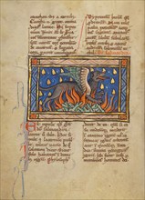 A Salamander; Bestiary, about 1270. Creator: Unknown.