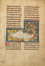 A Caladrius Bird, 1277 or after. Creator: Unknown.