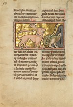 A Lion (Panther) and a Dragon, 1277 or after. Creator: Unknown.