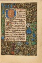 Decorated Initial D; Crohin-La Fontaine Hours, about 1480-1485 ?. Creator: Unknown.