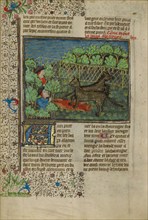 Hunters Attracting Wolves with Carrion; Livre de la Chasse, about 1430-1440. Creator: Unknown.