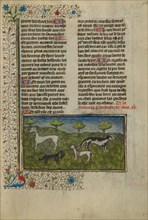 Dogs; Livre de la Chasse, about 1430-1440. Creator: Unknown.