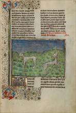 Hunting Dogs; Livre de la Chasse, about 1430-1440. Creator: Unknown.