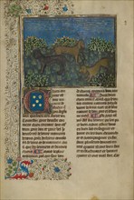 Hounds; Livre de la Chasse, about 1430-1440. Creator: Unknown.