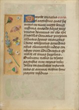 Decorated Text Page, about 1480-1490. Creator: Unknown.