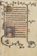 Initial D: The Virgin and Child; Bute Psalter, text and illumination about 1330. Creator: Atelier of the Passion Master.