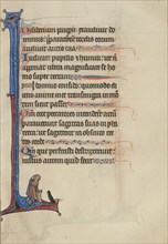 Initial I: A Man Looking at a Sparrow; Bute Psalter, text and illumination about 1285. Creator: Bute Master.