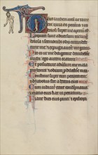 Inital D: A Partially Nude Saint Wrings his Hands; Bute Psalter, text and illumination about 1285. Creator: Bute Master.