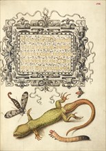 Scorpionfly, Insect, Lizard, and Insect Larva, 1561-1562; illumination added 1591-1596. Creator: Joris Hoefnagel.