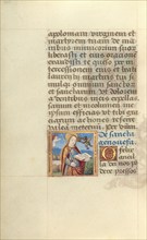 Saint Genovefa; Poncher Hours, about 1500. Creator: Master of Jacques de Besancon.