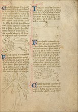 Constellation; Astronomical and Medical Miscellany, shortly after 1386. Creator: Unknown.