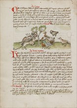 Animals Gathered under a Tree; Fables, third quarter of 15th century. Creator: Unknown.