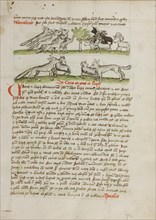 A Herd of Wolves Attacking a Flock of Rams; Fables, third quarter of 15th century. Creator: Unknown.