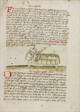 A Man in a Bed; Fables, third quarter of 15th century. Creator: Unknown.