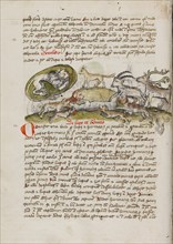 A Lion in its Den and Animals Biting a Wolf; Fables, third quarter of 15th century. Creator: Unknown.