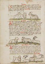 A Lion between a Wolf and an Ox: A Lion before a Cow, a Ram and..., third quarter of 15th century. Creator: Unknown.