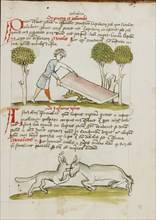 A Young Man in a Bed under which is a Snake: A Donkey..., third quarter of 15th century. Creator: Unknown.