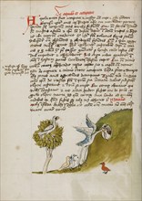 An Eagle Sitting in a Tree, a Stork with its Neck in a Hole..., third quarter of 15th century. Creator: Unknown.