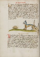 A Hedgehog and a Wolf; Fables, third quarter of 15th century. Creator: Unknown.