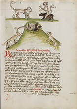 A Lion Standing on the Back of a Bear: Two Foxes in a Hole..., third quarter of 15th century. Creator: Unknown.