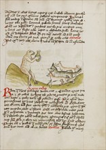 A Frog Sitting on a Hill Receiving a Vessel from a Group of Animals, third quarter of 15th century. Creator: Unknown.