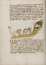 A Lion and an Ox before a Billy-Goat; Fables, third quarter of 15th century. Creator: Unknown.