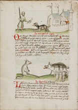 A Man with a Sword and a Dog with a Bone: A Wolf and a Pig; Fables, third quarter of 15th century. Creator: Unknown.