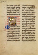 A Kite (Bird); De Natura Avium; De Pastoribus et Ovibus, On the Soul, 1277 or after. Creator: Unknown.