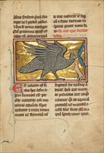 An Ibis with Two Fish in its Beak; De Natura Avium; De Pastoribus et Ovibus, 1277 or after. Creator: Unknown.