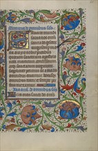 Decorated Initial S; Book of Hours, about 1450-1455. Creator: Unknown.