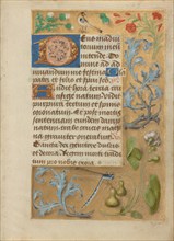 Decorated Text Page; Book of Hours, about 1480-1490. Creator: Unknown.