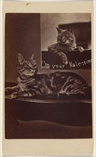 I'm Your Valentine., about 1865. Creator: Henry Pointer.