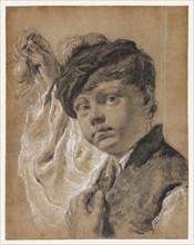 A Boy Holding a Pear (Giacomo Piazzetta?), about 1737. Creator: Giovanni Battista Piazzetta.