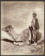 Man and camel, about 1870-1890. Creator: Unknown.