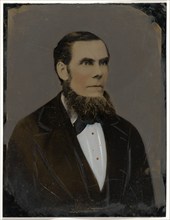 Portrait of bearded man, 1860s-1880s. Creator: Unknown.