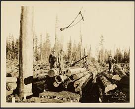 Logging/ Timber Scene, about 1910-1945. Creator: Darius Kinsey.