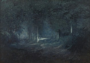 Wood by Moonlight, late 19th-early 20th century. Creator: Adriaan Joseph Heymans.