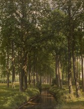 Wood Bathing in Sunshine, late 19th-early 20th century. Creator: Alfred Elsen.