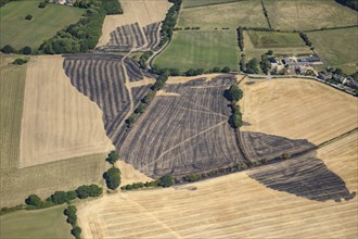 Fields scorched by fire, Scholes, Rotherham, 2022. Creator: Emma Trevarthen.