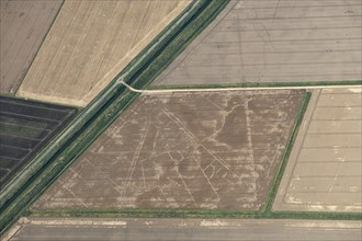 A Romano British settlement, Pinchbeck South Fen, Lincolnshire, 2023. Creator: Robyn Andrews.