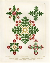 Floriated ornament: a series of thirty-one designs by Augustus Welby Pugin, architect..., 1849. Creator: H C Maguire.