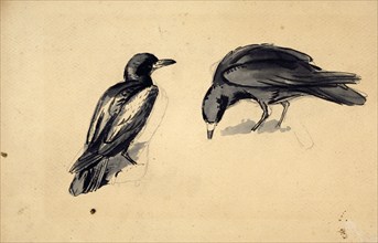 Study of two rooks for 'Christmas Eve 1887', c1887-88. Creator: John Everett Millais.