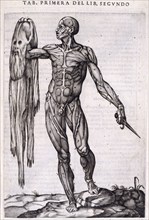 A flayed man holding his own skin, 1556.  Creator: Nicolas Beatrizet.