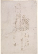 Measured working drawing for 'The Second Anatomical Table of the Skeleton of the Horse', 1756. Creator: George Stubbs.