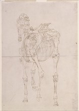 Measured working drawing for 'The Third Anatomical Table of the Skeleton of the Horse', 1756. Creator: George Stubbs.