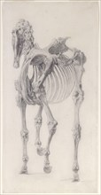 Finished study for 'The Third Anatomical Table of the Skeleton of the Horse', 1756. Creator: George Stubbs.